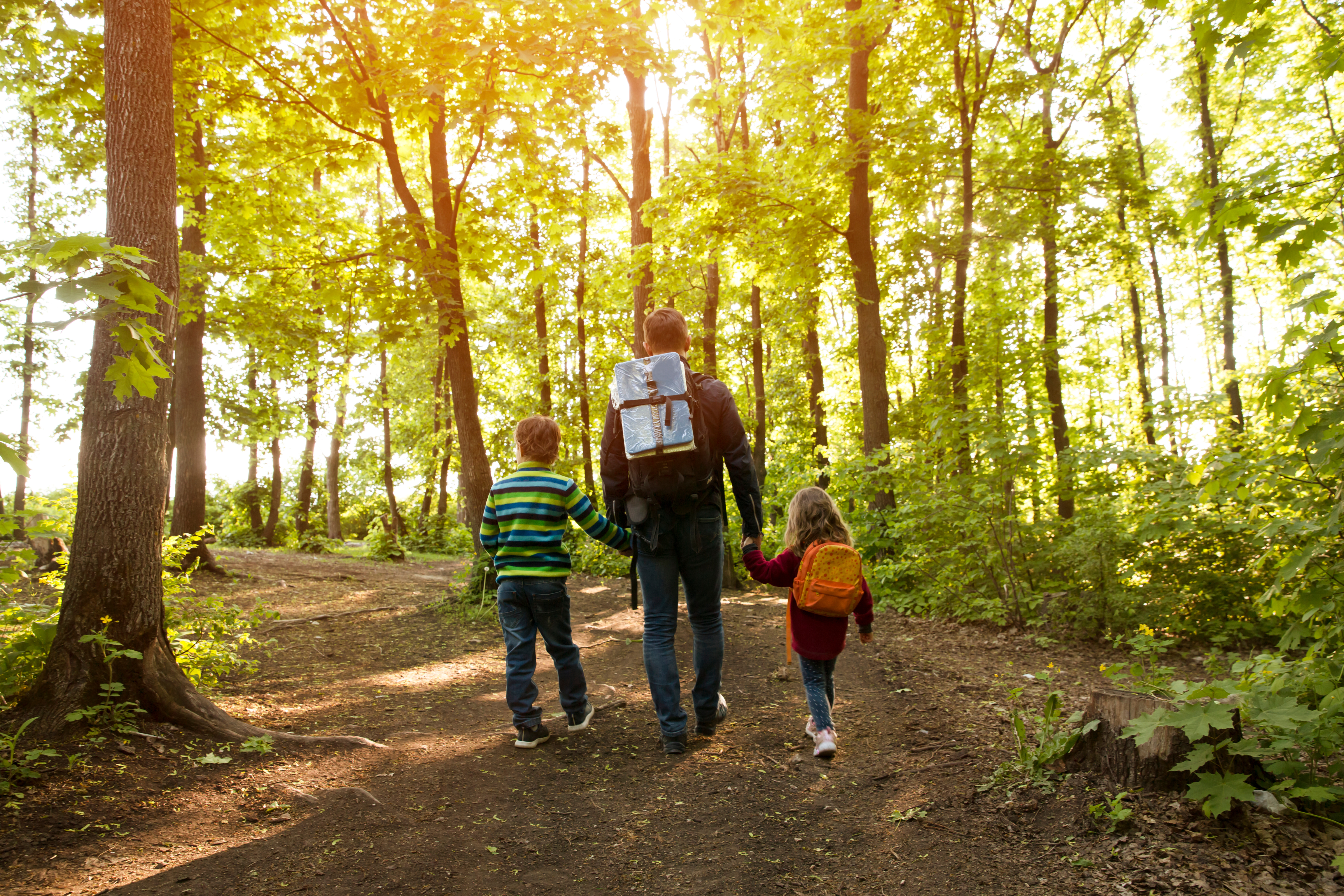 Family walking in woods